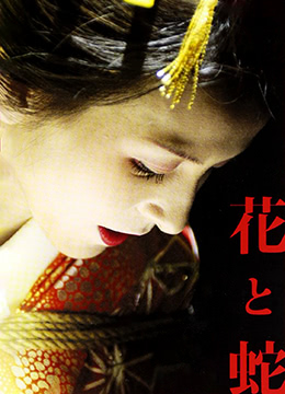 花與蛇(全集)