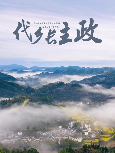 代鄉(xiāng)長(zhǎng)主政(全集)