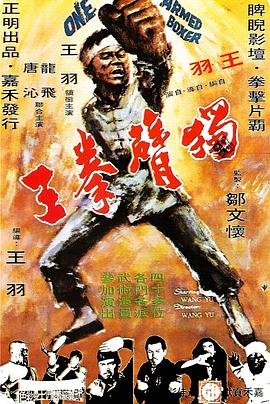 獨(dú)臂拳王(全集)
