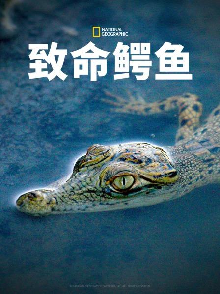 致命鱷魚(全集)