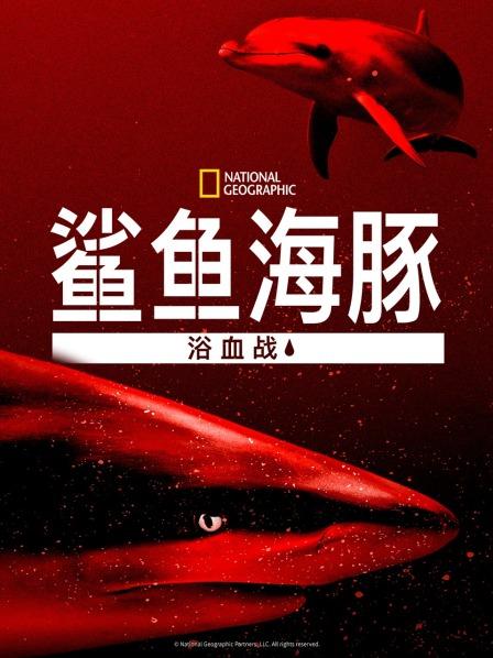 鯊魚(yú)海豚浴血戰(zhàn)(全集)