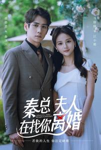 秦總，夫人在找你離婚(全集)