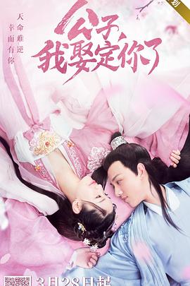 公子，我娶定你了(全集)