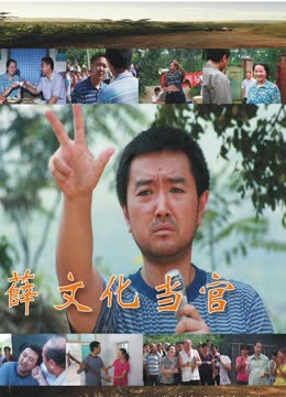 薛文化當官記