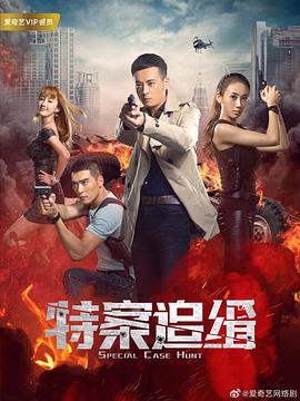 特案追緝第15集