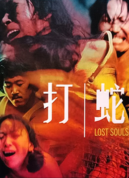 打蛇HD中字