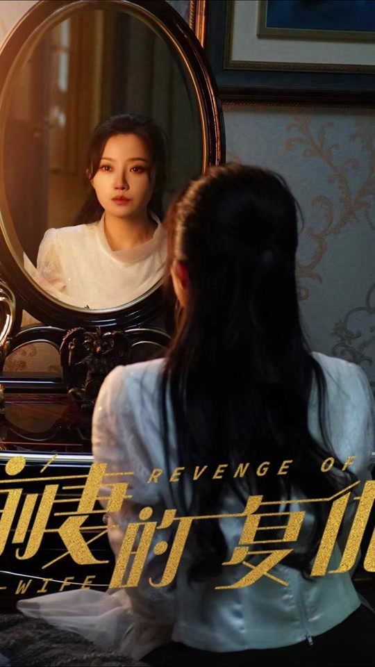 前妻的復仇第29集