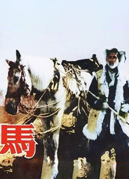 馬 1956