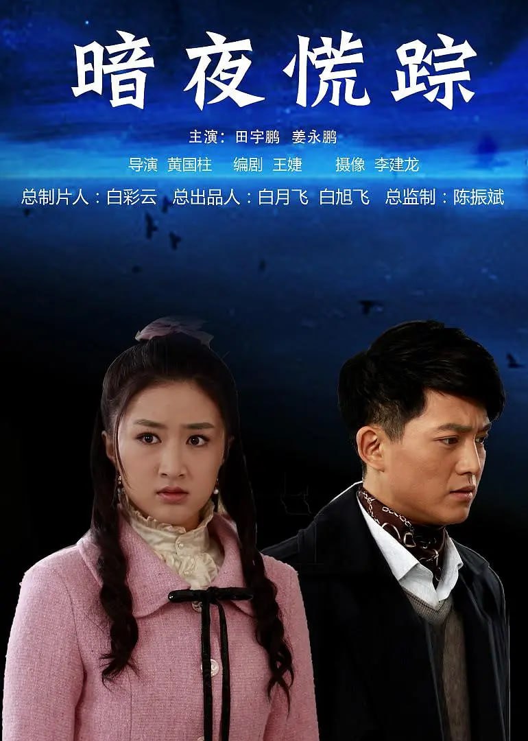 暗夜慌蹤 2013